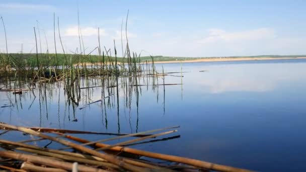 Reservoir in der Ukraine, eine einfache Landschaft. — Stockvideo