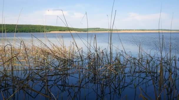 Reservoir in Oekraïne, een eenvoudige landschap. — Stockvideo