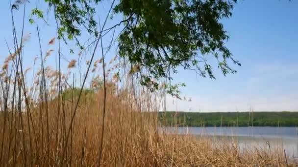 Réservoir en Ukraine, un paysage simple . — Video