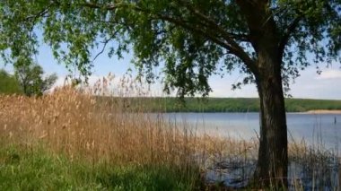 Rezervuar Ukrayna, basit bir manzara.