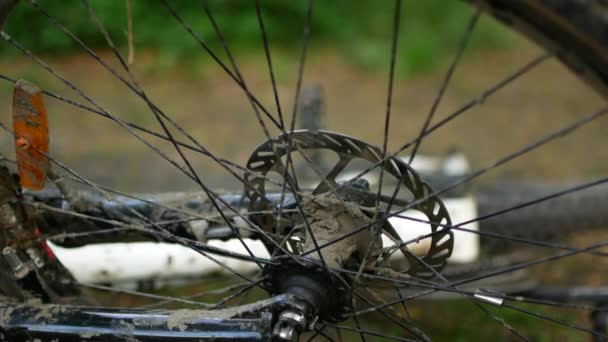 Uma bicicleta suja jaz no chão na floresta — Vídeo de Stock