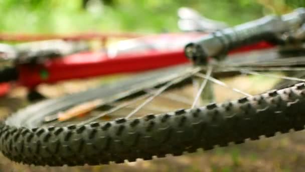 Ακτινωτό τροχό από ένα αναποδογυρισμένο mountain bike. περιστρέφεται ελεύθερα Fullhd βίντεο — Αρχείο Βίντεο