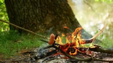 Yaz ormanda kamp ateşi üzerinde kavrulmuş lezzetli sosis.