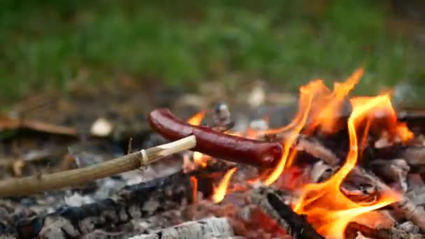 Läckra korv grillas på lägerelden i skogen sommaren. — Stockvideo