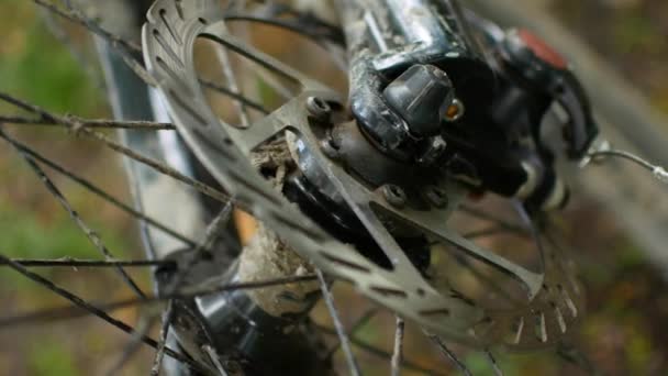 Ekrade ratten i en välte mountainbike. — Stockvideo