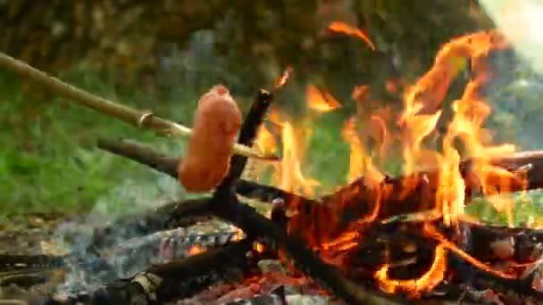 Läckra korv grillas på lägerelden i skogen sommaren. — Stockvideo