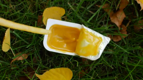 Frites trempées dans la sauce. Déjeuner de restauration rapide en déplacement. Sauce à la moutarde et pommes de terre — Video