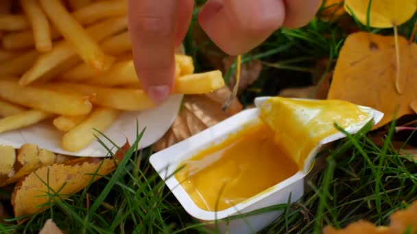 Frites trempées dans la sauce. Déjeuner de restauration rapide en déplacement. Sauce à la moutarde et pommes de terre — Video