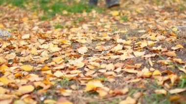 Botlu bir adam sonbahar yaprakları arasında parkta yürüyor..