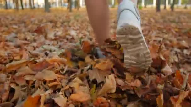 走在秋天的公园里。 鞋子踩在落黄的叶子上. — 图库视频影像