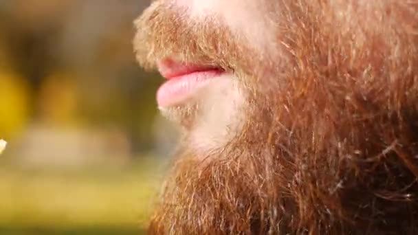Lähikuva mies syö ranskalaisia perunoita. Muotokuva miehestä, jolla on parta ja joka pureskelee ranskalaisia. — kuvapankkivideo