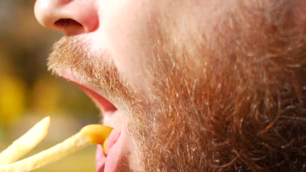 Primer plano comiendo papas fritas. Retrato de un tipo con barba que mastica papas fritas — Vídeos de Stock