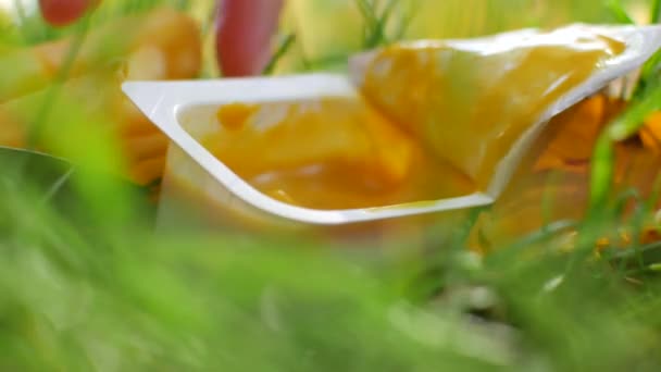 Frietjes in saus gedoopt. Fast food lunch onderweg. Mosterdsaus en aardappelen — Stockvideo