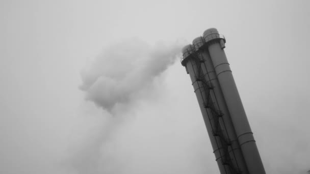 Rook uit een fabrieksschoorsteen. Stoom stijgt uit de pijp — Stockvideo