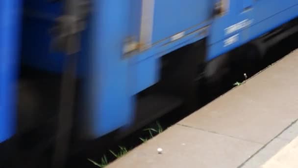 Passage de train, wagons et trains — Video