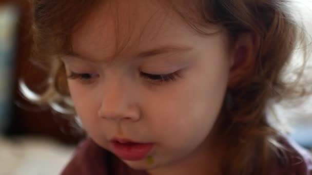 Домашний портрет ребенка, маленькой красивой девочки — стоковое видео