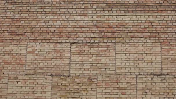 Fundo da parede de tijolo. Uma grande parede de tijolos — Vídeo de Stock