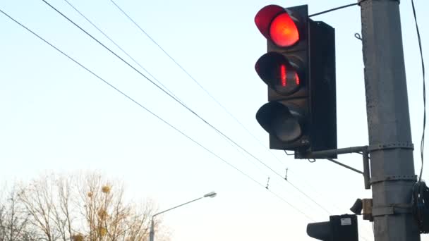 Bij het kruispunt schakelt het verkeerslicht van rood naar groen — Stockvideo