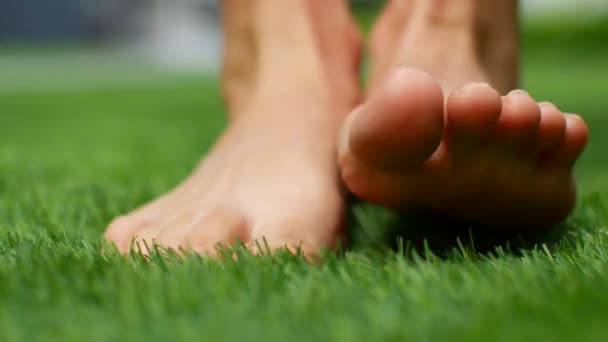 Bare feet on the grass. The green grass in the park beckons to be barefoot — ストック動画