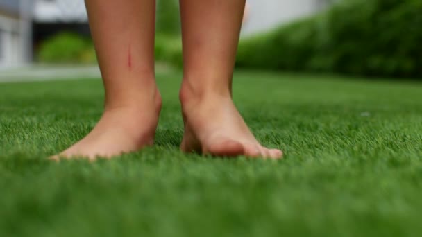 Bare feet on the grass. The green grass in the park beckons to be barefoot — ストック動画