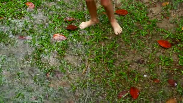 Тропический дождь, капли падают на землю и траву — стоковое видео