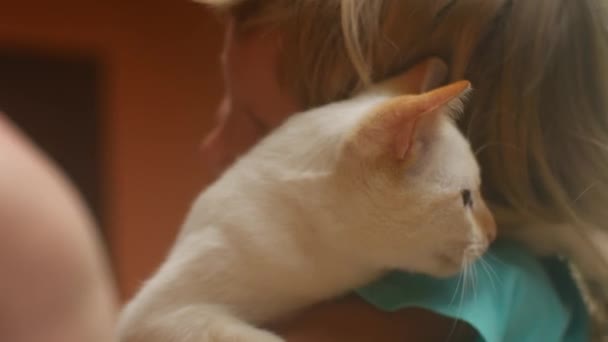 Белая кошка на руках у девушки. Ребенок гладит кошку — стоковое видео