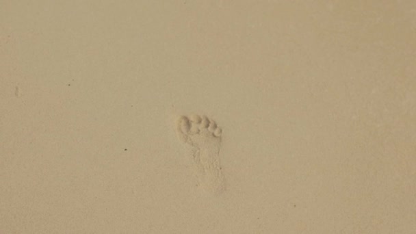 Childrens footprint barefoot in the sand washed away by the wave — 비디오