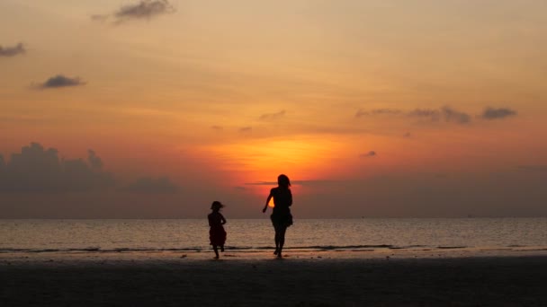 Siluetas de una familia feliz a la luz del atardecer . — Vídeos de Stock