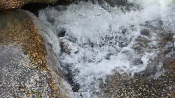 Petite cascade parmi les pierres et la jungle — Video