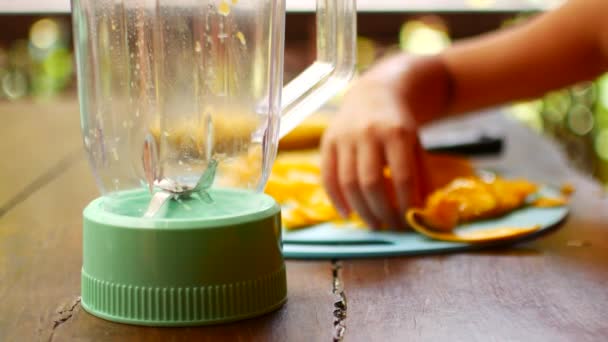 Ребенок готовит коктейль, детская рука кладет манго в блендер — стоковое видео