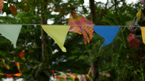 Guirlande de drapeaux multicolores . — Video