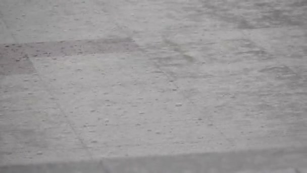 Gotas de lluvia cayendo en un charco — Vídeos de Stock