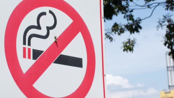 Não fumar sinal no parque. — Vídeo de Stock