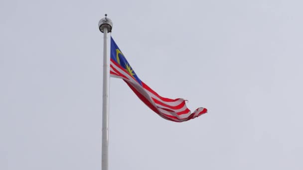 Flagga malaysia vajande i vinden — Stockvideo