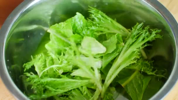 Lechuga en un plato preparando una comida vegetariana saludable — Vídeo de stock