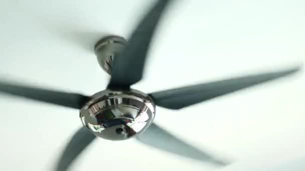 Videos Of Ceiling Fans       - 87 Wood Ceiling Fans Stock Videos And Royalty Free Footage Istock : From the lowest price flush mount fans to the highest quality contemporary and elegant styles, we have the ceiling fan you want at a price you can afford.