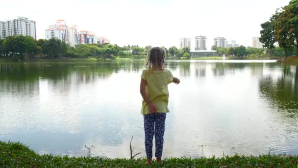 Una chica está buscando peces en un estanque . — Vídeo de stock