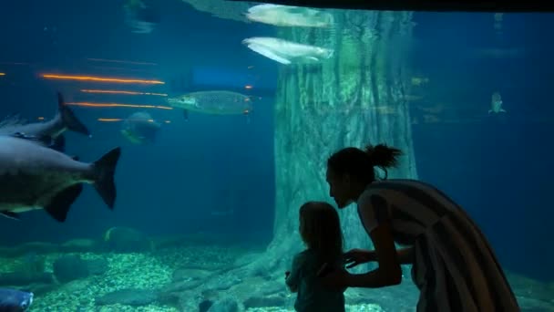 Mama i córka patrzą na ryby w dużym akwarium — Wideo stockowe