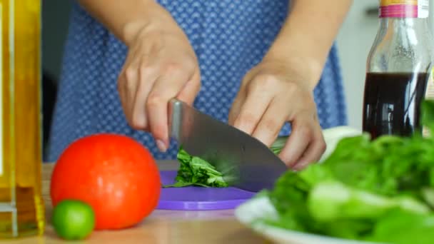 Salata için sebze dilimliyorum. Kadın, malzemeleri bıçakla parçalar. — Stok video