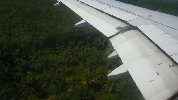 Das Flugzeug landet, die Flügelklappen öffnen sich, es wird manövriert. — Stockvideo