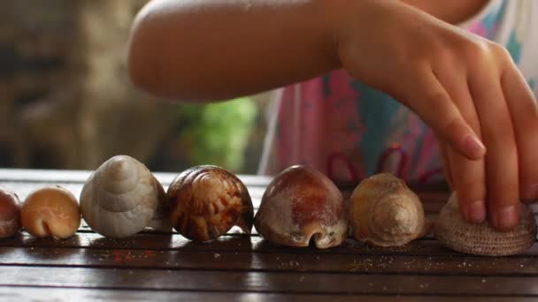 Gadis prasekolah bermain dengan kerang laut — Stok Video