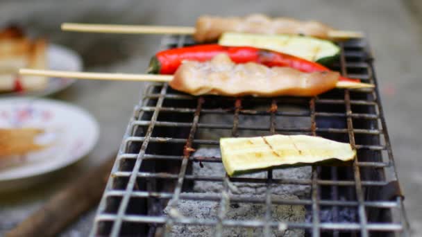Close-up van een barbecue. Gemakkelijk gezond voedsel — Stockvideo