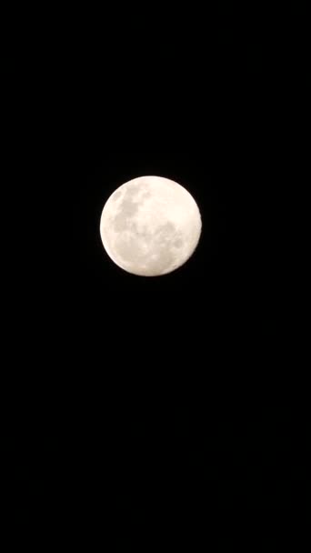 Een volle maan beweegt zich door de lucht — Stockvideo