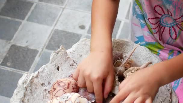 Kleuter meisje spelen met schelpen — Stockvideo