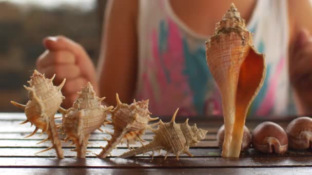 Niña preescolar jugando con conchas marinas — Vídeos de Stock