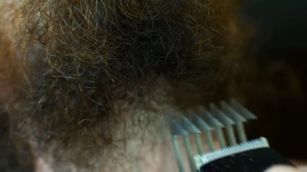 Мужчина сокращает бороду — стоковое видео