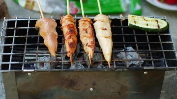 Närbild av en grill. Lätt hälsosam mat — Stockvideo