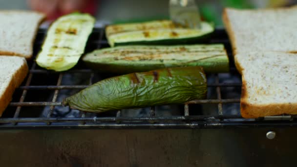 Közelkép egy barbecue-ról. Könnyű egészséges étel — Stock videók