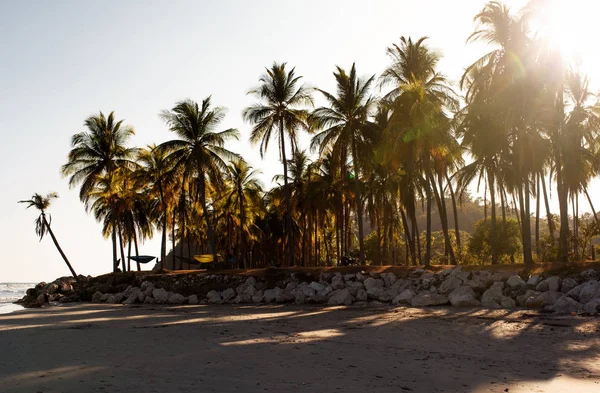 Tramonto sulla costa tropicale — Foto Stock