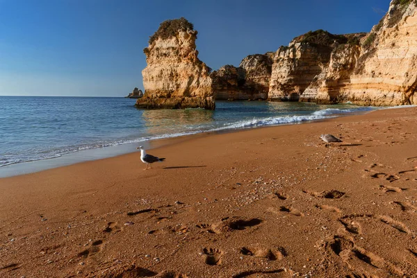 Pobřeží v Algarve, Portugalsko — Stock fotografie